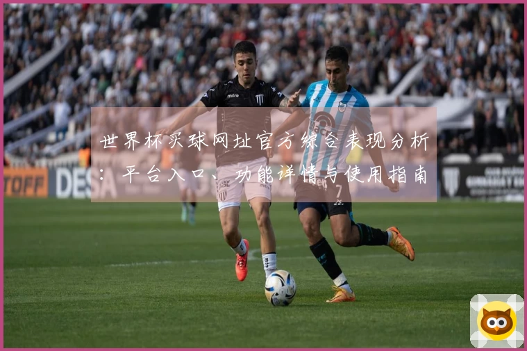 世界杯买球网址官方综合表现分析：平台入口、功能详情与使用指南