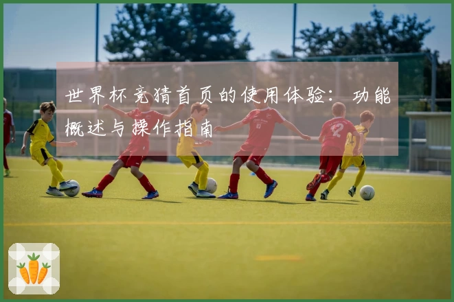 世界杯竞猜首页的使用体验：功能概述与操作指南