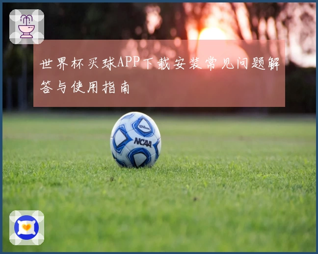 世界杯买球APP下载安装常见问题解答与使用指南